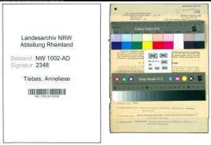 Entnazifizierung Anneliese Tiebes, geb. 28.07.1919 (Verw.Angest.)