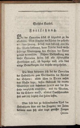 Sechstes Kapitel. Fortsetzung.