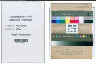 Entnazifizierung Ferdinand Pilger , geb. 02.11.1901 (Faerber)