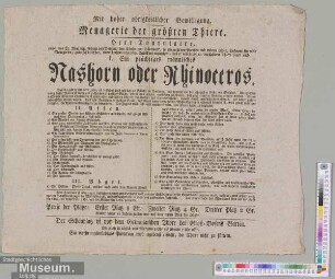 Nashorn oder Rhinoceros