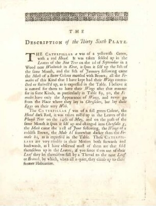 The Description of the Thirty Sixth Plate