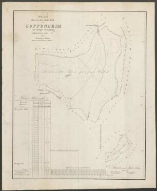 Plan über den Gemeinde-Wald von Hoffenheim auf dortiger Gemarkung