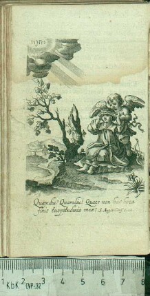 [VII. Quamdiu? Quamdiu? Quare non hac horâ finis turpitudinis meæ? Lib. 8. Confess. c. 12.]