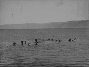 Personen im Meer (Orientaufnahmen 1892/1903)