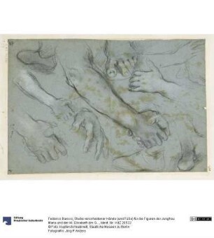 Studie verschiedener Hände (und Füße) für die Figuren der Jungfrau Maria und der Hl. Elisabeth (im Gemälde der Heimsuchung Mariens in der Chiesa Nuova in Rom)