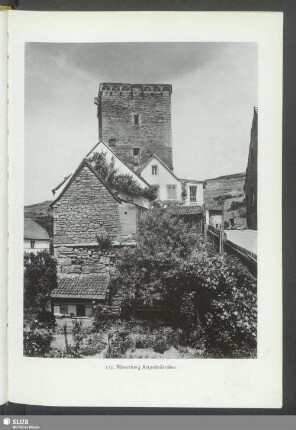 Wasserburg Reipoltskirchen