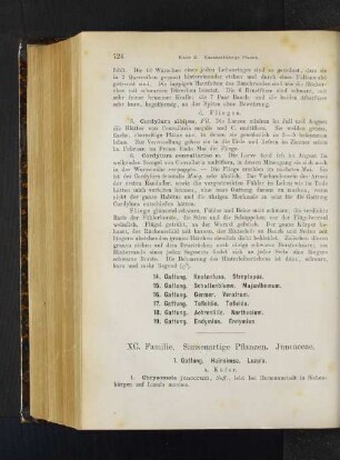 14. Gattung. Knotenfuss. Streptopus. 15. Gattung. Schattenblume. Majanthemum. 16. Gattung. Germer. Veratrum. 17. Gattung. Tofieldie. Tofielda. 18. Gattung. Aehrenlilie. Narthecium. 19. Gattung. Endymion. Endymion.