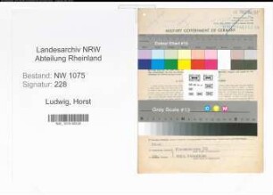 Entnazifizierung Horst Ludwig , geb. 11.08.1907 (Stadtsekretaer)