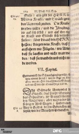 VII. Capitel.