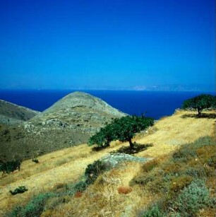 Syros. Der Kastri-Hügel bei Chalandriani, frühkykladische Siedlung