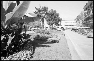 Lienz: Hauptplatz mit südlichen Pflanzen