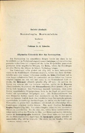 Lehrbuch der Anatomie des Menschen : in 2 Bänden, 2. Band. Gefäßsystem, Nervensystem und Sinnesorgane