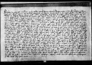 Bischof Rudolf von Konstanz bestätigt die wörtlich eingerückte Urkunde WR 12 113.