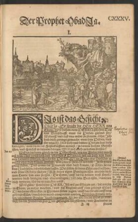 Der Prophet Obadja.