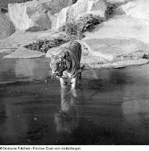 Tierpark Berlin