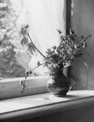 Vase auf Fensterbrett