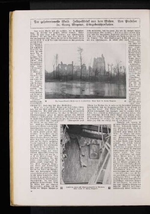 Der geheimnisvolle Wald. Feldpostbrief aus dem Westen.