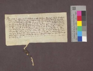 Rudolf von Schaler verkauft das Dorf Schliengen an Jakob von Neuenfels.