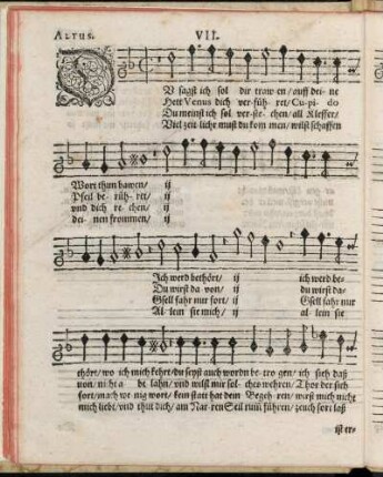 VII. Du sagst ich sol dir trawen ...