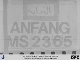 MF Mau 2365