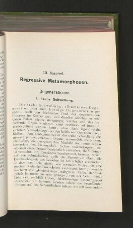 III. Kapitel. Regressive Metamorphosen.