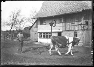 Bauer mit Göpel in Sankt Georgen
