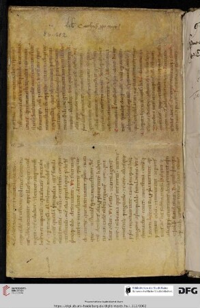 Medizinischer Text (11. Jh.)