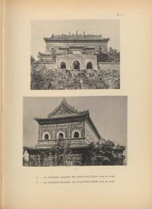 Pl. 11