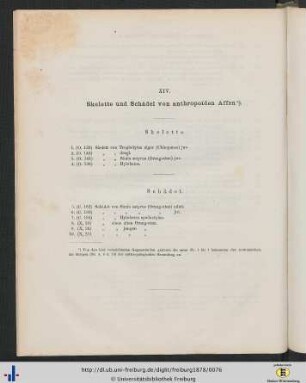 XIV. Skelette und Schädel von anthropoiden Affen.