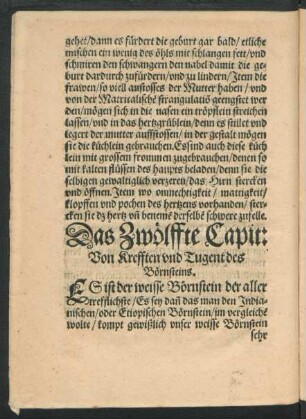 Das Zwöllfte Capit: Von Krefften und Tugent des Börnsteins.