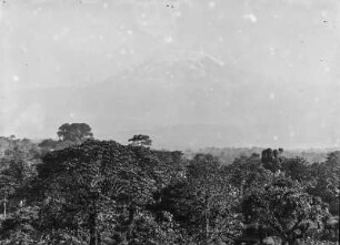 Landschaft und Kibo : Landschaft im Kilimandscharo-Gebiet mit dem schneebedeckten Kibo im Hintergrund