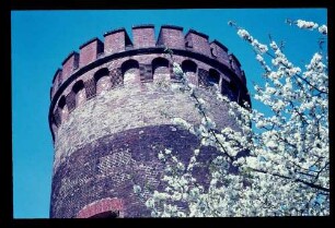 Spandau/Juliusturm 30.4.66.