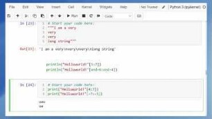 Introduction to Programming for Business Analytics - Exercise 9: Python Fundamentals and Elementary Data Types