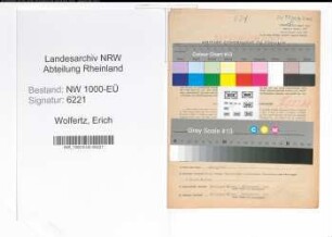 Entnazifizierung Erich Wolfertz, geb. 04.11.1903 (Kaufmann)