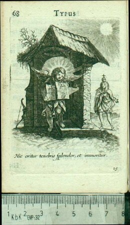 Hic oritur tenebris splendor, et immoritur.