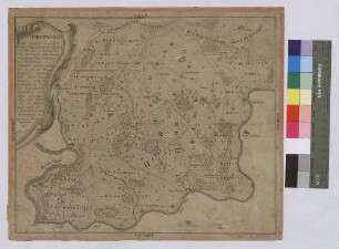 Delineatio der Gegend zwischen dem Main und der Tauber samt des kurmainzischen Orts Werbachs, dann derer würzburgischen Ortschaften Böttigheim und Neubrunn daranstoßenden nebst des bronnbachischen Orts Reicholzheim Dorfsgemarkung (Inselkarte)