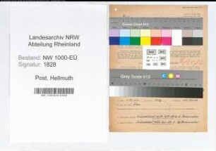 Entnazifizierung Hellmuth Post, geb. 06.05.1909 (Wachmann)