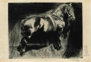 "The Horse"