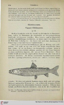 Gliedmassen
