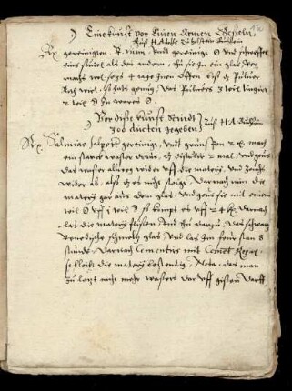 [Herzog Adolfs von Holstein Alchemisten-Buch]