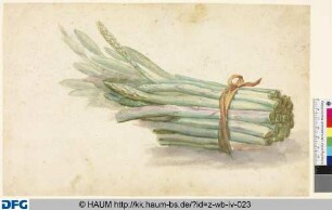 Ein Bund Spargel