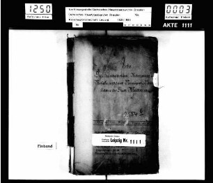 Haushaltspläne, Verfassungs- und Vermögensübersichten von Waldheim, Bd. 04