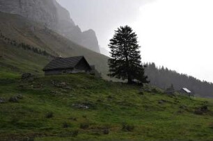 Bergwiese am Säntis : Südlich des Bodensees ist der 2502 m hohe Gipfel des Säntis die höchste Erhebung im Alpsteinmassiv. Bild: Bergwiese mit Futterhäusern in 1350 m Höhe im Säntisgebiet, aufgenommen 2008