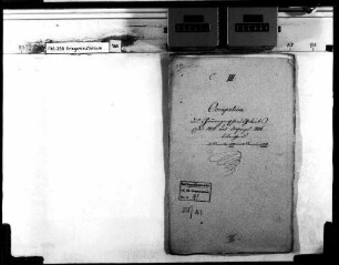 Organisation des Gemmingenschen Gebiets