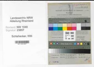 Entnazifizierung Willi Schlehecker , geb. 28.08.1905 (Technischer Angestellter)