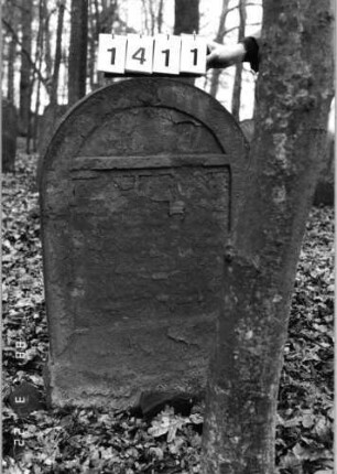 Grabstein 1411 (Index: 99903500) Material: Sandstein Zustand: fast vollständig verwittert Maße HxBxT: 110x67x8 cm: Grabstein 1411