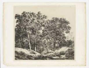 Wald von Déluge, bei Fontainebleau