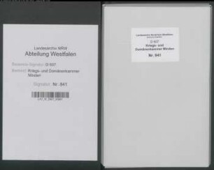 Amt Reineberg - Vogtei Levern - Bauerschaft Mehnen (Niedermehnen): Revidiertes Kataster