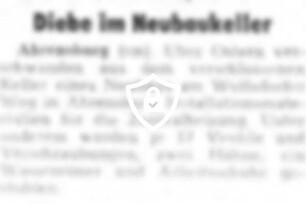 Diebe im Neubaukeller