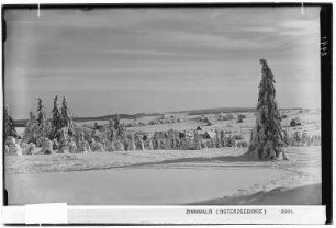 Osterzgebirge. Zinnwald